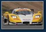 Gravity International Racing en ��n van hun Mosler Chevrolet MT 900