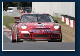 Prospeed - Porsche 997 GT3 Cup #51