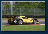 A+ Racing - Dodge Viper Competition Coup�